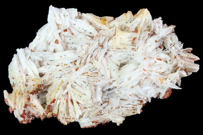 Small, Ruby Red Vanadinite Crystals on Barite - Morocco #100708